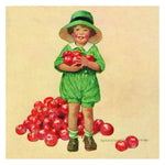 Jessie Willcox Smith Greeting Cards : Child with Apples - challengeandfunretail