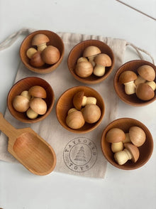 Montessori Waldorf Wood Mushroom Sorting Game - wood Games for open-ended play - Title: Default Title