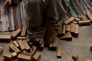 
                  
                    Wooden Blocks in Tray - 30 pcs Natural
                  
                
