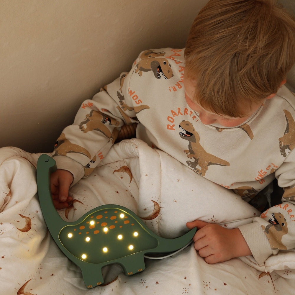 
                  
                    little-lights-mini-dino-lamp
                  
                