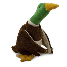 Senger Organic Cotton Cuddly Animal Drake, Large - cotton, wool Stuffed Animals for open-ended play - Title: Default Title